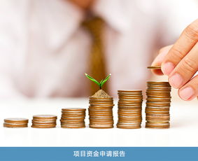 股權價值與項目投資風險分析 專業機構的選擇與價格考量