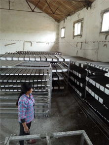 武漢安德裝飾材料廠攜手阿土伯網(wǎng)，開啟建筑裝飾材料熱賣促銷盛宴